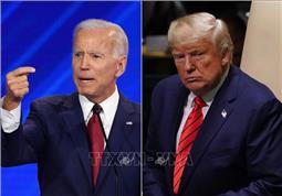 Thăm dò của Fox News: Ứng cử viên Biden dẫn trước Tổng thống Trump 9 điểm